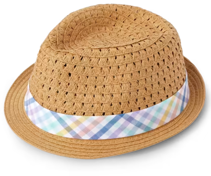 Place Plaid Fedora Hat